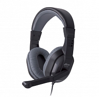 Наушники Ritmix RH-534M, серый