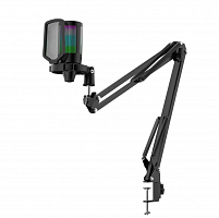 Микрофон DEFENDER Impulse GMC 650 (стрим) USB, провод 1.7 м, RGB, стойка, черный