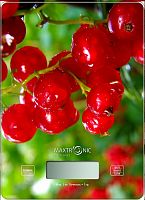 Весы MAXTRONIC MAX-1031-4