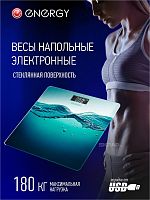 Весы ENERGY EN-422C /110022