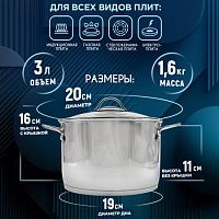 Кастрюля 3л "Магритт" (3с173) г.Аша