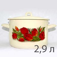 Кастрюля эмаль 2,9л РИСУНОК г.Лысьва С-16111