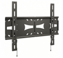Кронштейн Holder LCDS-5070