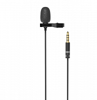 Микрофон Ritmix RCM-110 
